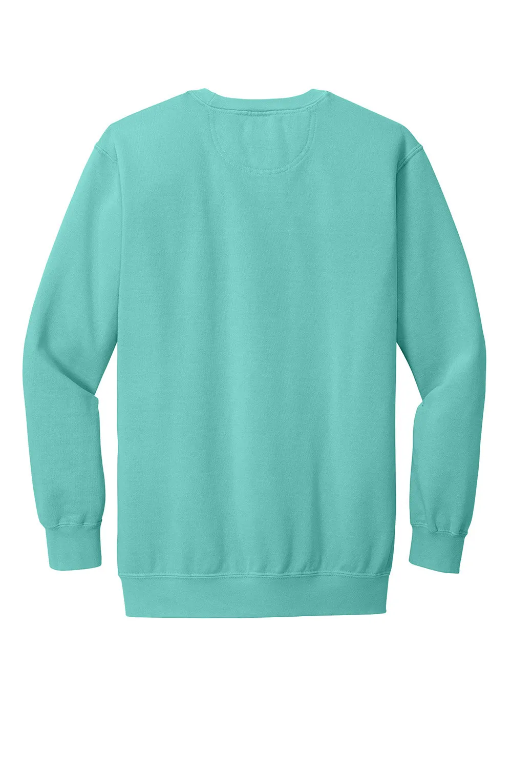 Sweat à capuche homme Comfort Colors - Vert menthe pâle