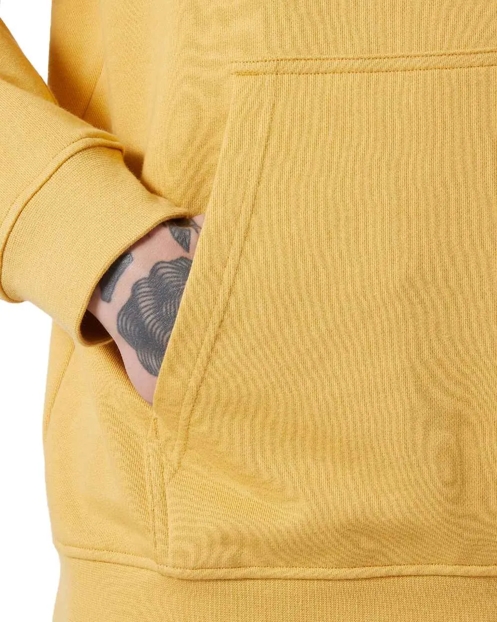 Pull à capuche Helly Hansen pour homme