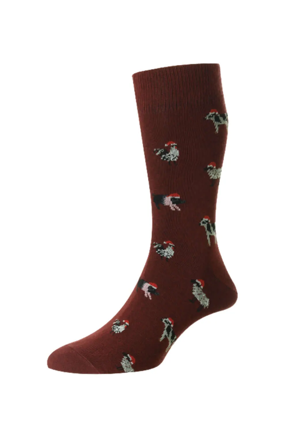 HJ Hall Animaux dans des Chapeaux de Noël Chaussettes en Coton Riche Accessoires HJ