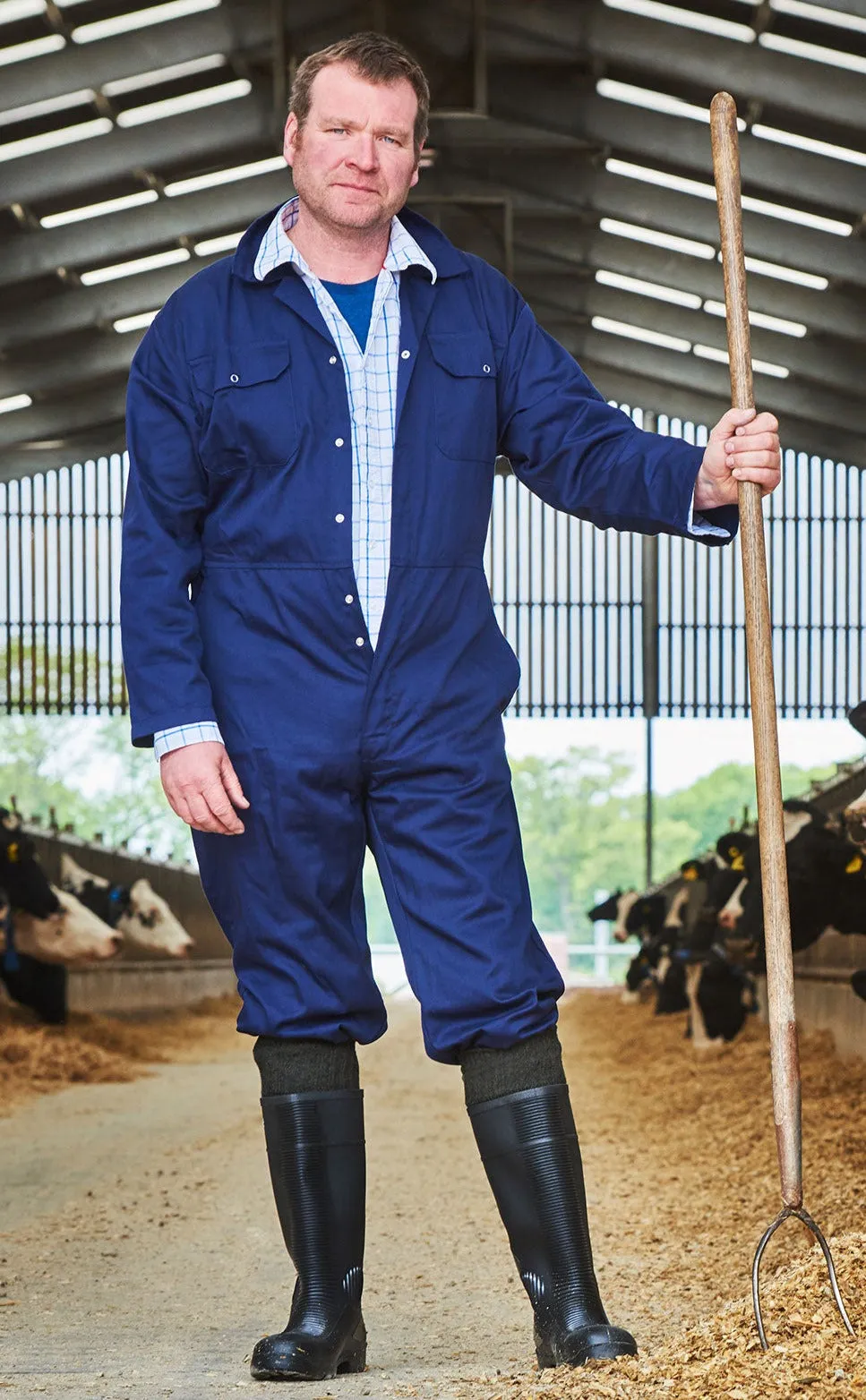 Chaussettes HJ Hall Wellington Accessoires HJ