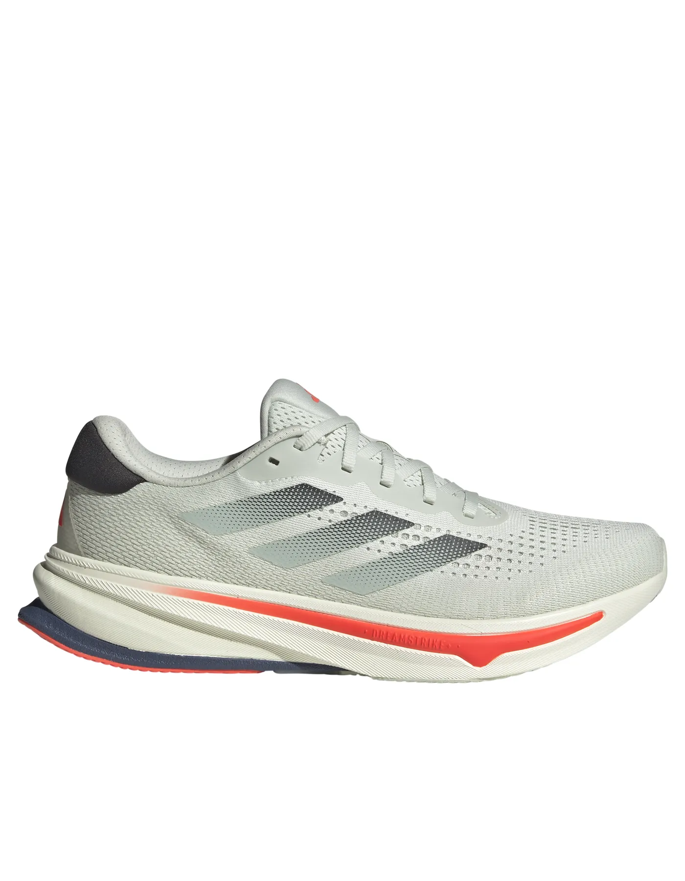 Supernova Rise - Homme